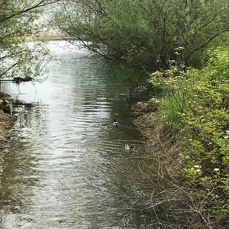 Pp-camping Wallersee Camping Seekirchen am Wallersee