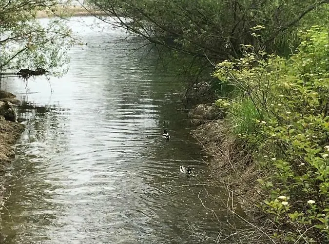 Pp-camping Wallersee Campsite Seekirchen am Wallersee