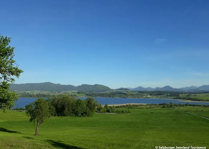 Pp-camping Wallersee * Seekirchen am Wallersee