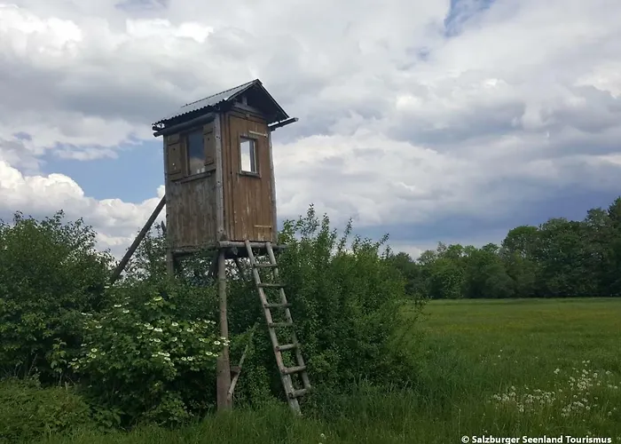 Pp-camping Wallersee Seekirchen am Wallersee